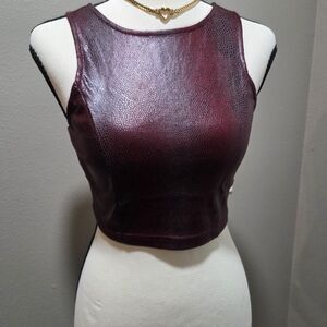 Iris Basic Women's Maroon Textured Crop Top